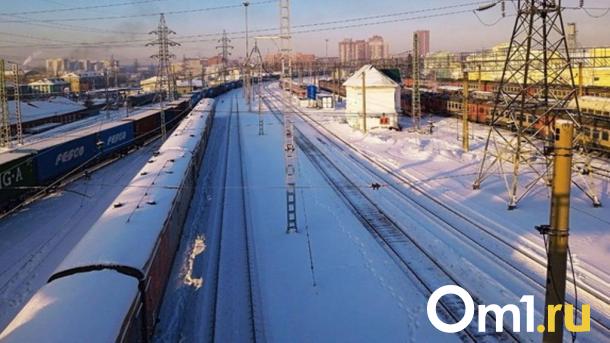 Под вагоном поезда: появились подробности попадания омского подростка под состав