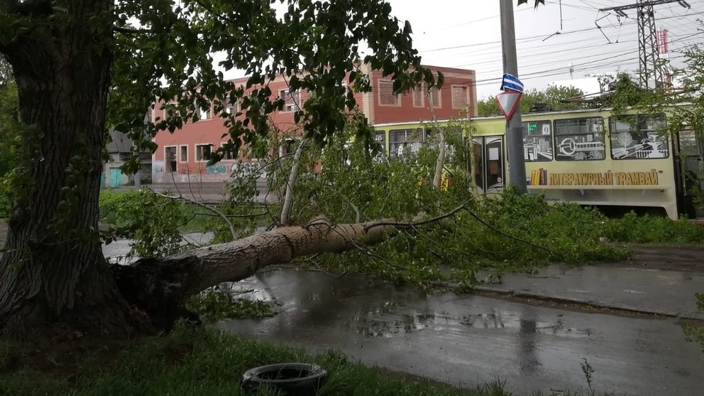 В Омске на улице Лермонтова порыв ветра свалил дерево на трамвай
