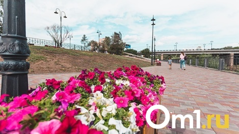 Летний апрель. В Омске потеплеет до +20 градусов