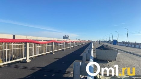 Мэрия объяснила, почему Ленинградский мост не откроют для пешеходов