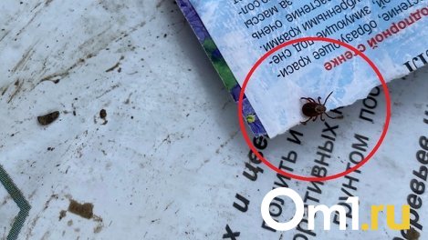 Прокуратура привлекла к ответственности глав 12 муниципалитетов