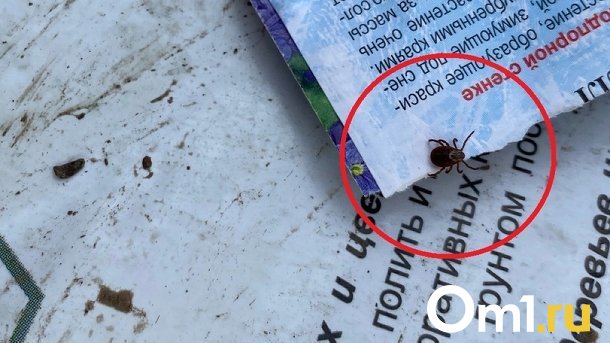Прокуратура привлекла к ответственности глав 12 муниципалитетов