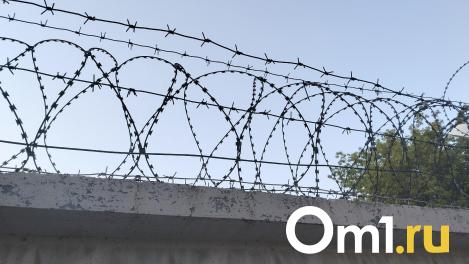 Подозреваемый в убийстве школьницы из Москвы нападал на девушек в Парке Победы