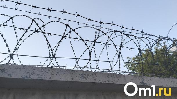 Подозреваемый в убийстве школьницы из Москвы нападал на девушек в Парке Победы