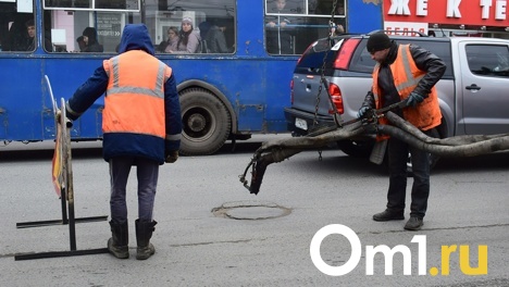 К началу лета в Омске восстановят дороги