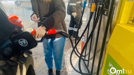 В Омской области подешевело популярное автомобильное топливо