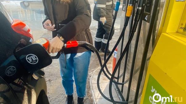 В Омской области подешевело популярное автомобильное топливо