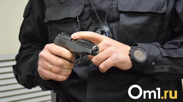 Омичу вынесли приговор за стрельбу из карабина в центре Муромцево