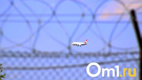 Омичей просят выбрать лучшую авиакомпанию