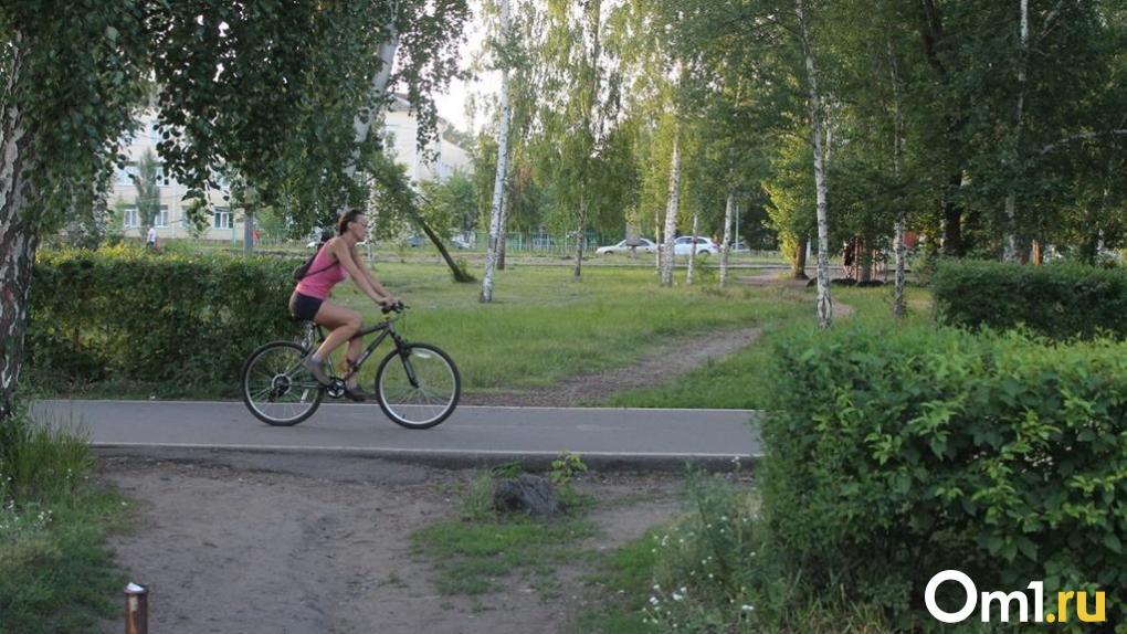 Омск и Санкт-Петербург оказались на одном месте по развитию велоинфраструктуры
