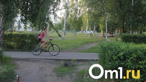 Омск и Санкт-Петербург оказались на одном месте по развитию велоинфраструктуры