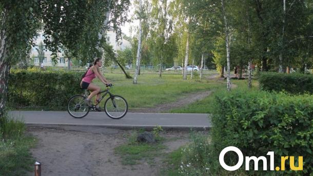 Омск и Санкт-Петербург оказались на одном месте по развитию велоинфраструктуры