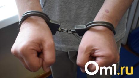 Омич предстанет перед судом по обвинению в реабилитации нацизма