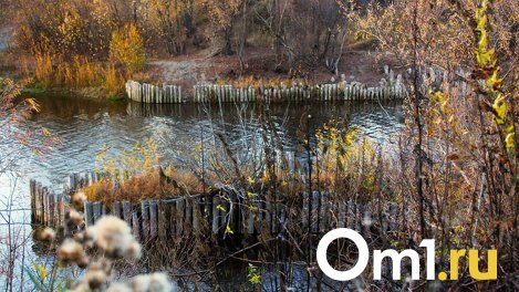 В Омске построят новый мост. Показываем, где он будет находиться