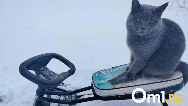 На Омск надвигаются первые ночные заморозки