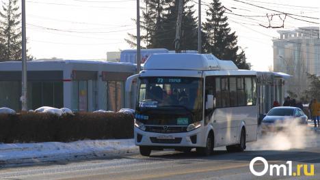 Депутаты предложили сделать в Омске больше выделенных полос