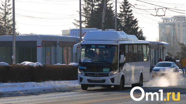 Депутаты предложили сделать в Омске больше выделенных полос