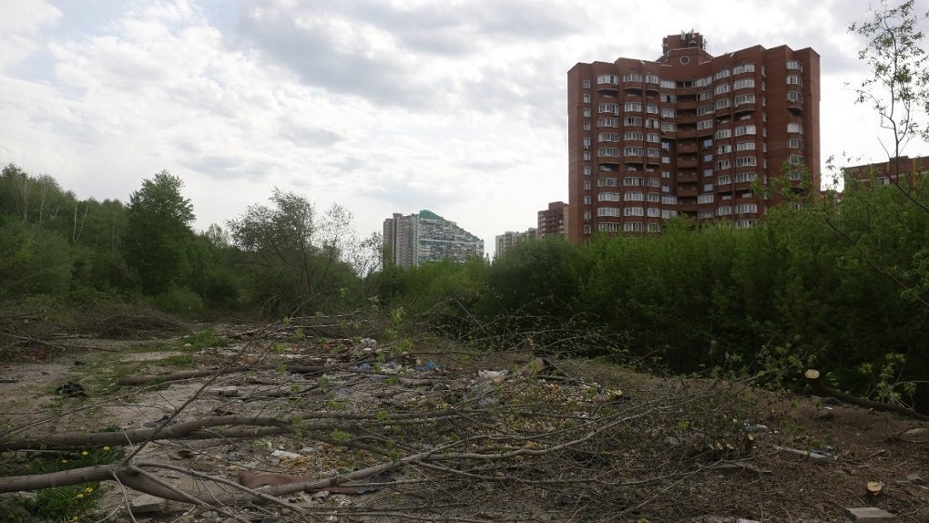 Территорию будущего парка у реки Каменки в Новосибирске подготавливают к масштабным работам