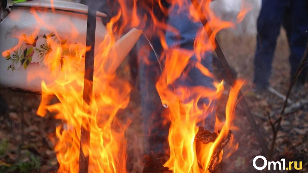 За майские праздники в Омской области потушили 64 пожара