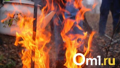 За майские праздники в Омской области потушили 64 пожара