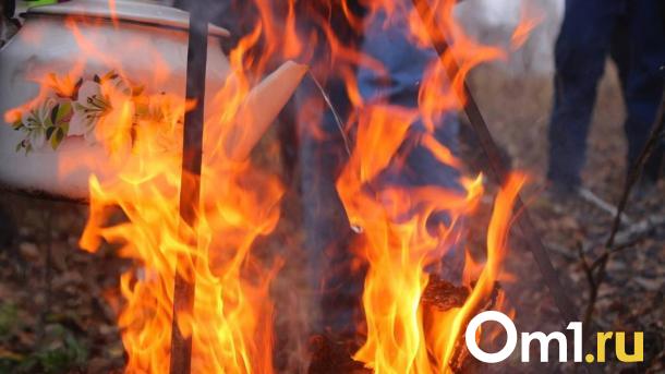 За майские праздники в Омской области потушили 64 пожара