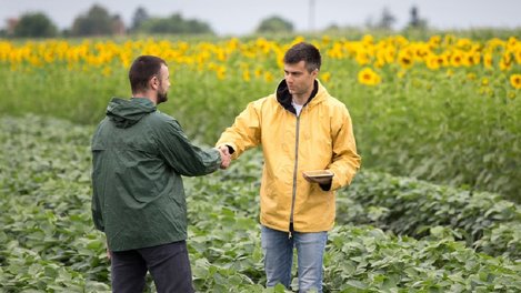 РСХБ запускает универсальный сервис для дачников региона на платформе Всё Своё