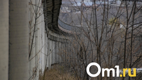Мусорная тропа, серые столбы и следы собачьих лап: мистическая территория под Горбатым мостом