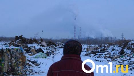 Росприроднадзор проверит омскую ТЭЦ-5 из-за опасных выбросов