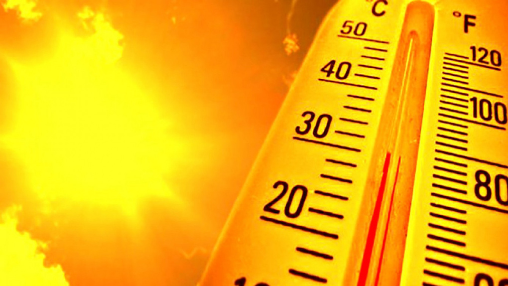 Синоптики зафиксировали 100-летний рекорд весенней жары в Новосибирске
