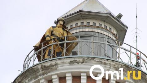 Спутники помогают МЧС оперативно выявлять пожары в Омской области