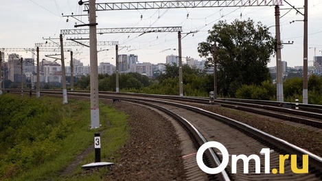 Грузовой поезд сбил нетрезвого мужчину под Новосибирском