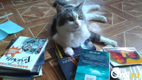 Топ-5 книг из школьной программы, которые стоит перечитать взрослому