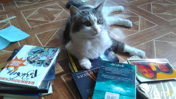 Топ-5 книг из школьной программы, которые стоит перечитать взрослому