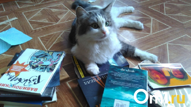Топ-5 книг из школьной программы, которые стоит перечитать взрослому