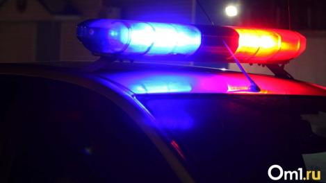 Водитель без прав перевозил людей из Омска в Казахстан