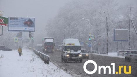 Снегопад и плохая видимость: в Омскую область пришла непогода