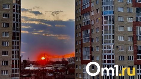 В начале мая в Омске установится тёплая весенняя погода