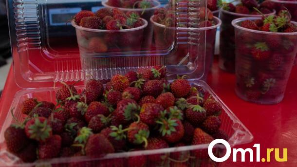 Космическая клубника: новосибирские учёные отправляют ягоды на орбиту