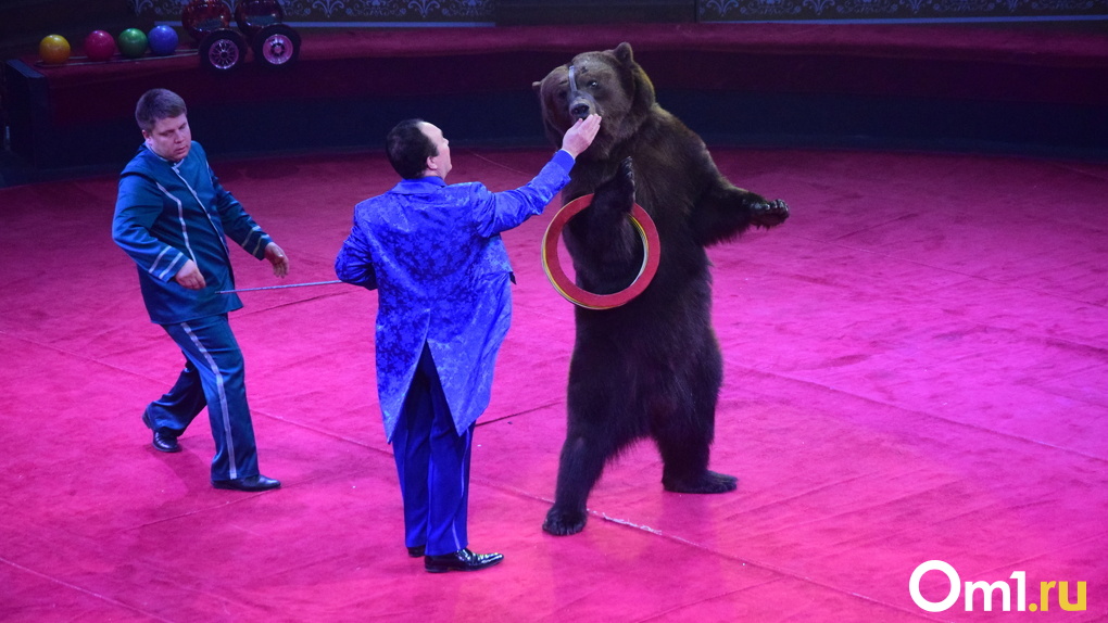 Омский цирк застрял в Подмосковье без денег и возможности вернуться домой