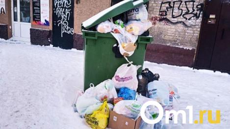 Жители элитного омского посёлка пожаловались на мусорную свалку