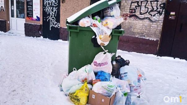 Жители элитного омского посёлка пожаловались на мусорную свалку