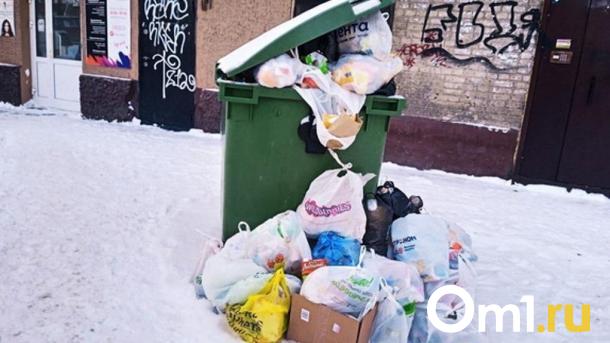 Жители элитного омского посёлка пожаловались на мусорную свалку