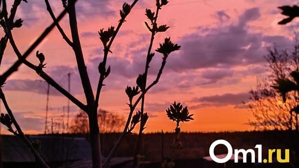 Омичей напугал движущийся объект в небе