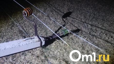 Новосибирск «погрузился» во тьму: дерево оборвало провода, оставив без света посёлки
