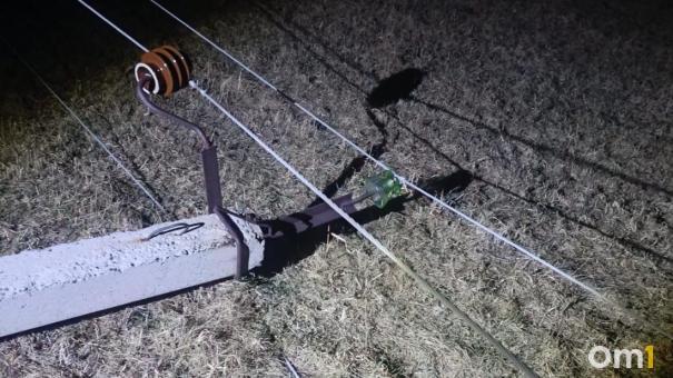 Новосибирск «погрузился» во тьму: дерево оборвало провода, оставив без света посёлки