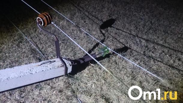 Новосибирск «погрузился» во тьму: дерево оборвало провода, оставив без света посёлки