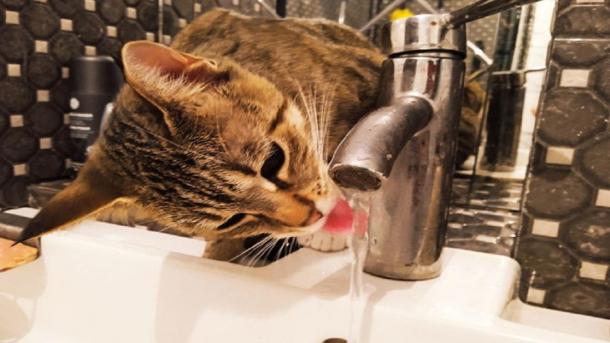 90 % новосибирцев пьют чистую воду – данные Роспотребнадзора