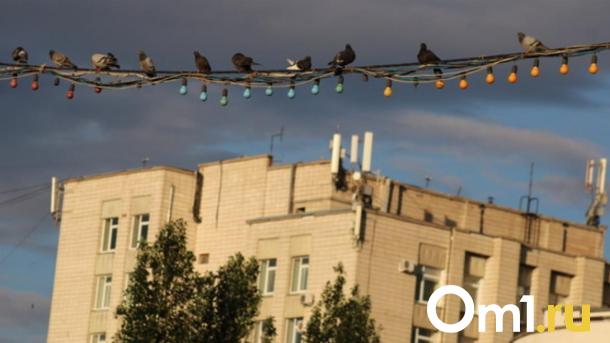 Отрывайтесь по полной: Новосибирск зовёт на концерты, шоу и рэп-вечеринки