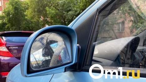 Взял в аренду и украл: омич перепродал 32 арендованных автомобиля