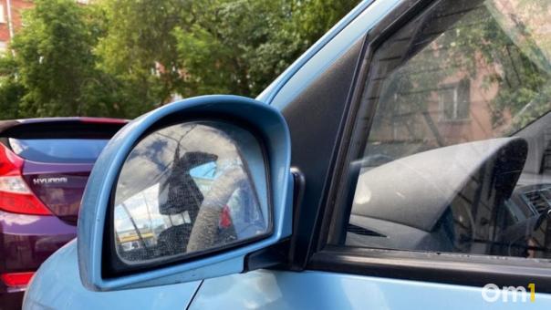 Взял в аренду и украл: омич перепродал 32 арендованных автомобиля